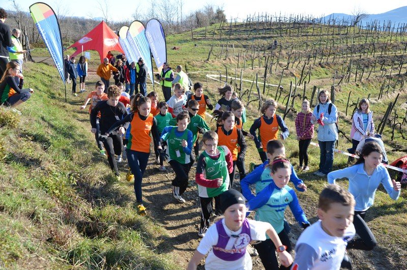 Tek Biljanski gri 269 i 087